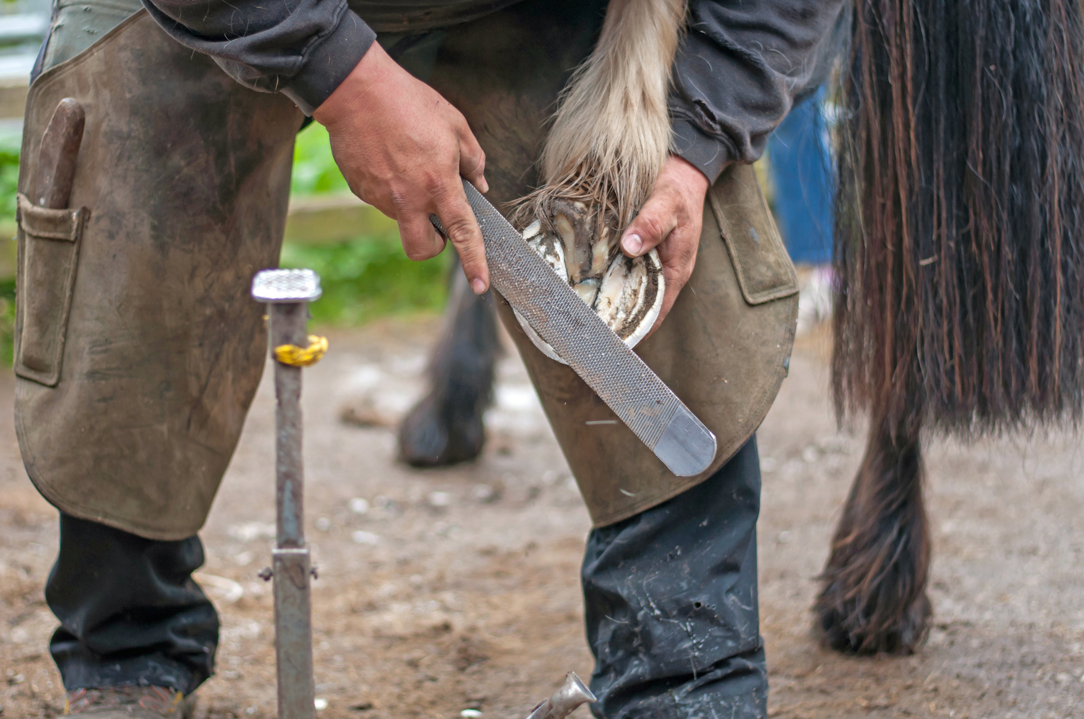 farrier photo.jpg