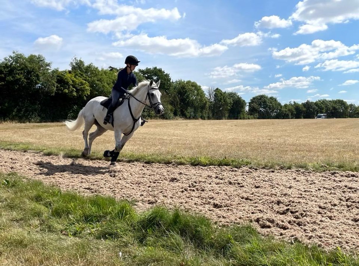 keeping-fit-on-firm-ground-gallops.jpg